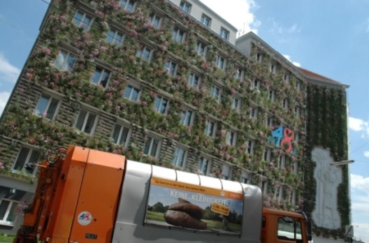 Виена со иницијатива за озеленување на фасадите